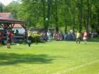 dscn0689_small.jpg