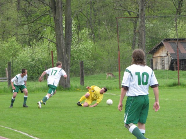 img_0328.jpg